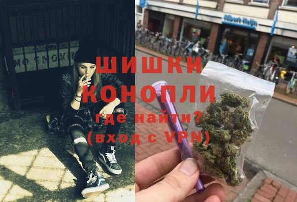 ПСИЛОЦИБИНОВЫЕ ГРИБЫ Баксан