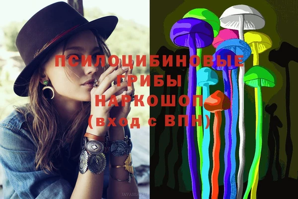 ПСИЛОЦИБИНОВЫЕ ГРИБЫ Баксан