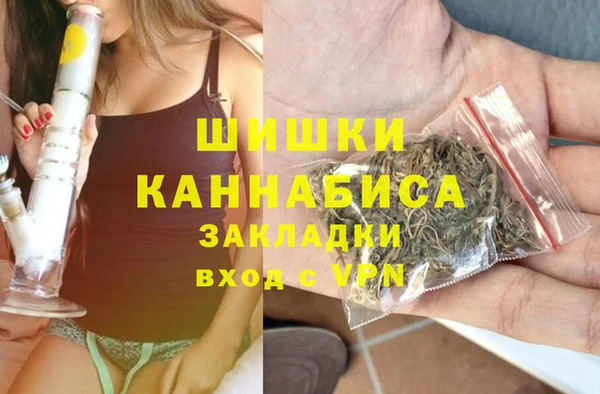 ПСИЛОЦИБИНОВЫЕ ГРИБЫ Баксан