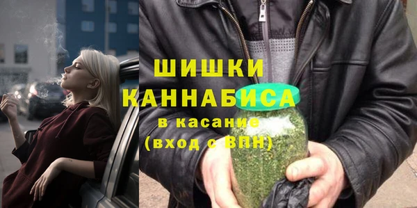 ПСИЛОЦИБИНОВЫЕ ГРИБЫ Баксан