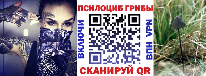 что такое наркотик  Улан-Удэ  Галлюциногенные грибы мицелий 