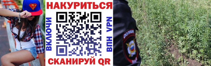 Шишки марихуана план  Улан-Удэ 